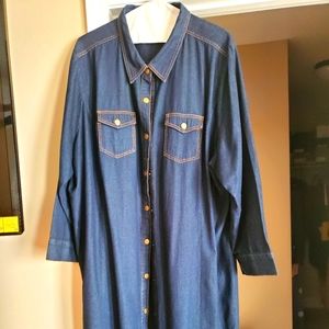 Women's Plus-Sized Denim Dress